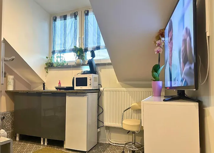 In Pellingen Near Saar-hunsrueck Park Treviri